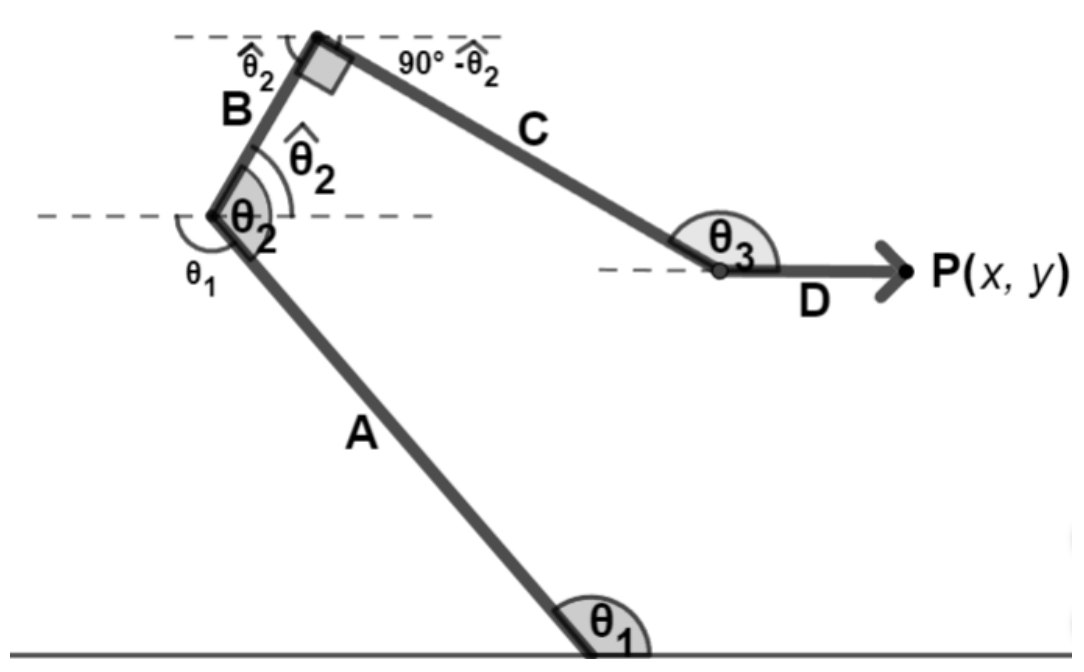 Vector graphic of the arm with the joint angles